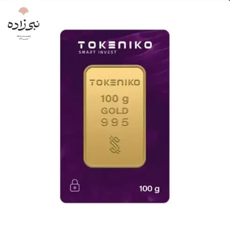 شمش 24 عیار 100 گرمی توکنیکو G066